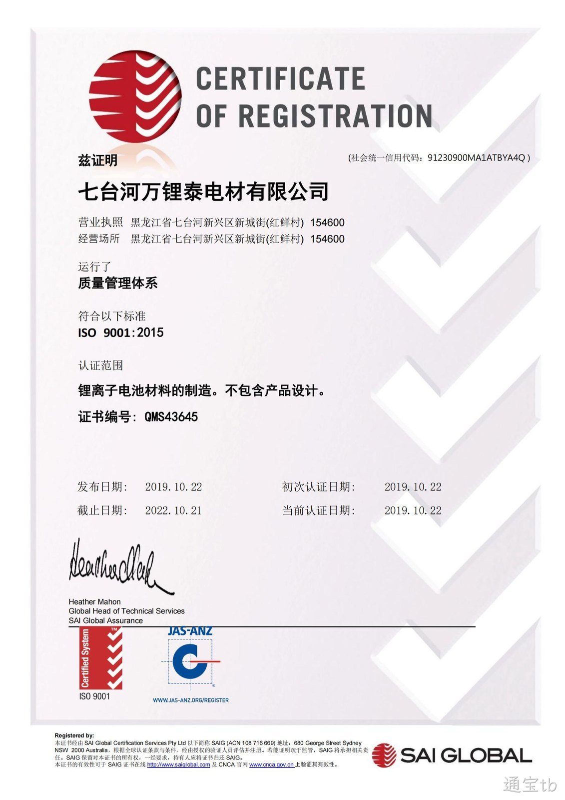 通宝tb公司质量管理体系培训会如期举行(图3) 通宝tb公司质量管理体系培训会如期举行(图3)